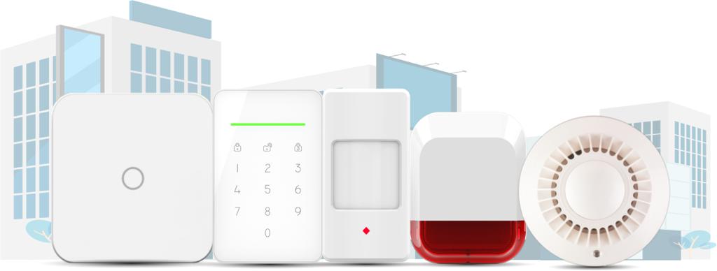 Business Security Alarm system